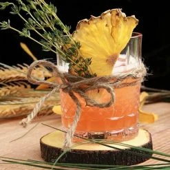 Best Pirce 🎉 Bars Small Batch Cocktail Garnish Co.'s Case Of Dehydrated Slices - Flavor Options 🤩 -BARS Shop CGC PINE CS 1 800x