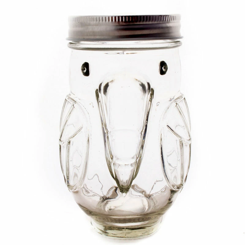 Best Pirce 🌟 Bars Parrot Mason Jar W/lid - 14 Ounce - BarConic® 😀 6 Best Pirce 🌟 Bars Parrot Mason Jar W/lid - 14 Ounce - BarConic® 😀 - Image 4