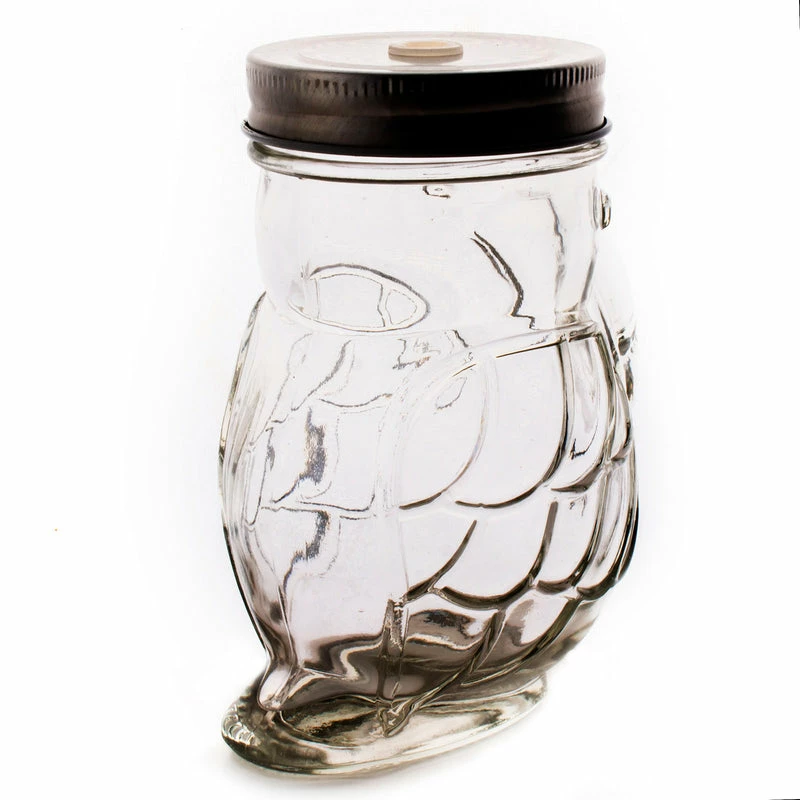 Best Pirce 🌟 Bars Parrot Mason Jar W/lid - 14 Ounce - BarConic® 😀 7 Best Pirce 🌟 Bars Parrot Mason Jar W/lid - 14 Ounce - BarConic® 😀 - Image 5