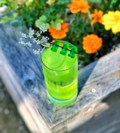 Discount 🧨 Bars Ring Bamboo Cocktail Picks - Black - 100 Pack 😀 10 Discount 🧨 Bars Ring Bamboo Cocktail Picks - Black - 100 Pack 😀 -BARS Shop circle picks cocktails 2 1 800x