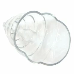 Best reviews of 🛒 Bars BarConic® Tiki Mug - Conch Glass - 22 Oz. 🤩 -BARS Shop gw conch2 bpc 800 1 800x