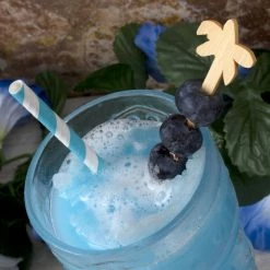 Buy 🔔 Bars BarConic® Wooden Palm Tree Cocktail Picks - 100 Pack 🌟 -BARS Shop palm tree wooden cocktail pics 3 800x